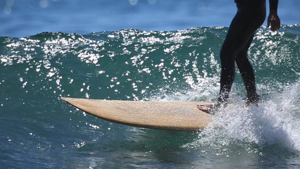Surfing Corona